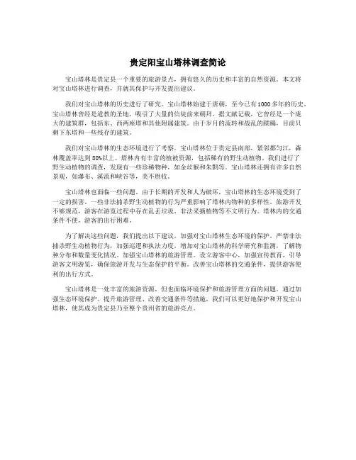 贵定阳宝山塔林调查简论