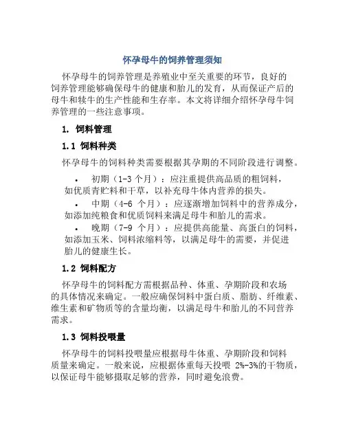 怀孕母牛的饲养管理须知