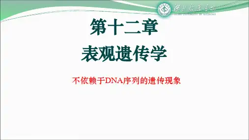 第十二章-表观遗传学