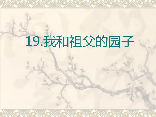 19我和祖父的园子ppt课件