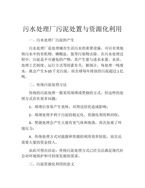 污水处理厂污泥处置与资源化利用