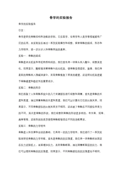 骨学的实验报告
