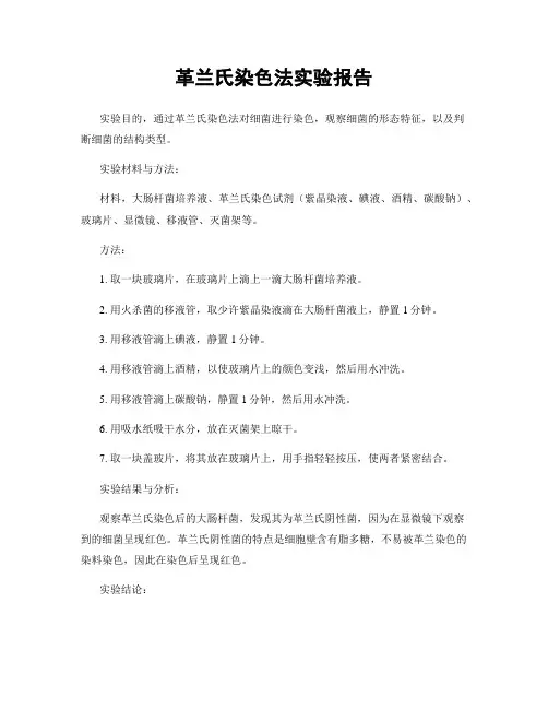 革兰氏染色法实验报告