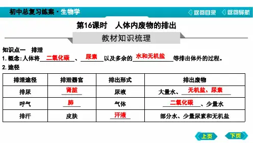 中考生物人体内废物的排出