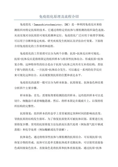 免疫组化原理及流程介绍