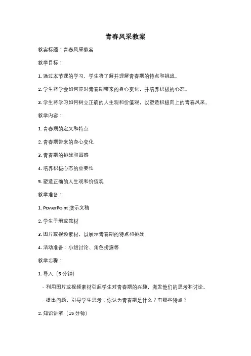 青春风采教案