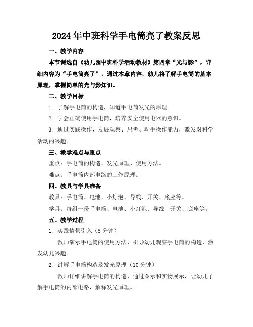2024年中班科学手电筒亮了教案反思