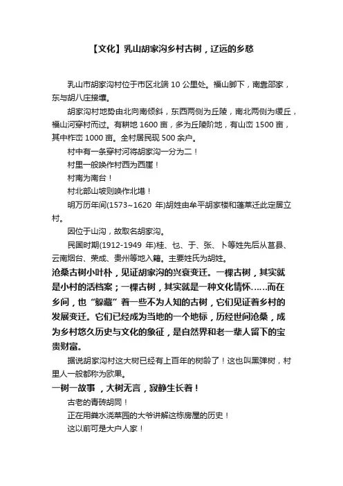 【文化】乳山胡家沟乡村古树，辽远的乡愁