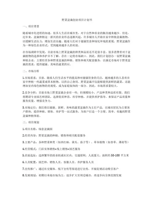 野菜盆栽创业项目计划书