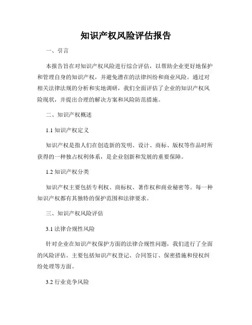 知识产权风险评估报告