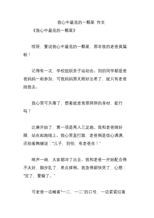 我心中最亮的一颗星 作文