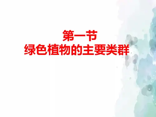 济南版生物-七年级上册第1节绿色植物的主要类群课件