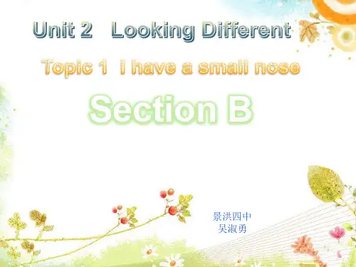 英语仁爱版七年级上册《Unit 2 Looking Different Topic 1 I h...》课件公开课 (2)