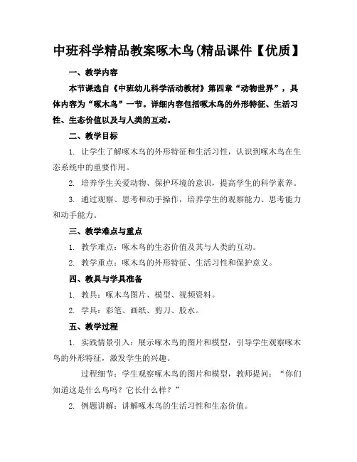 中班科学精品教案啄木鸟(精品课件【优质】