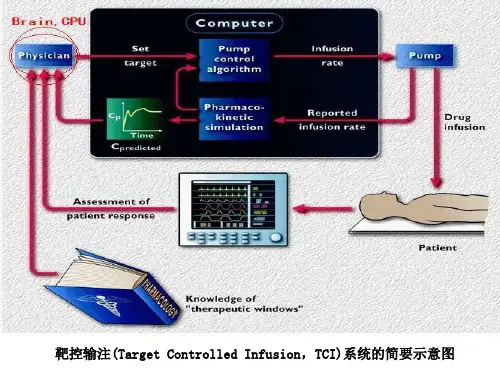 CI的临床研究PPT课件