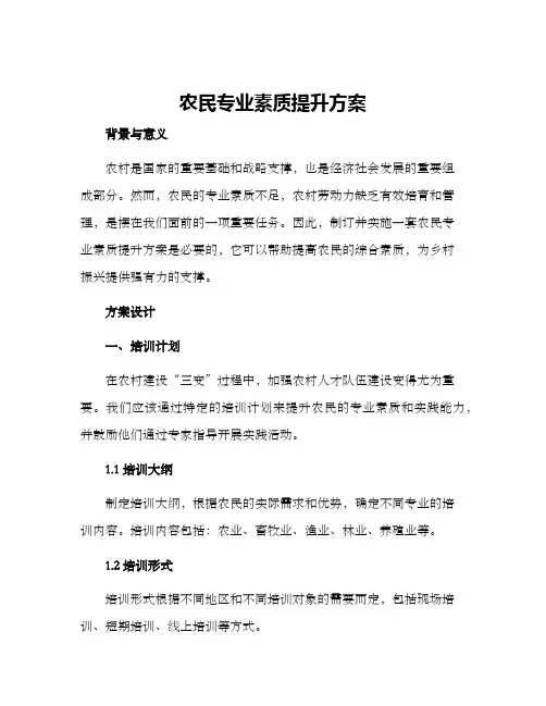 农民专业素质提升方案