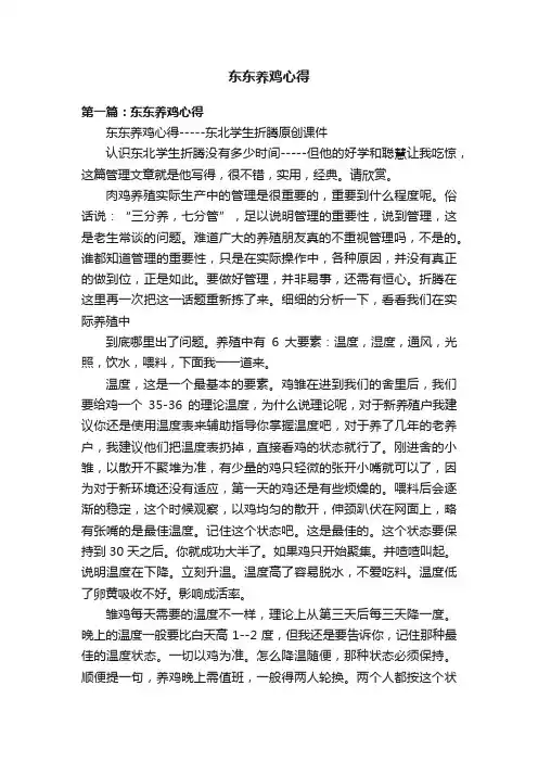 东东养鸡心得