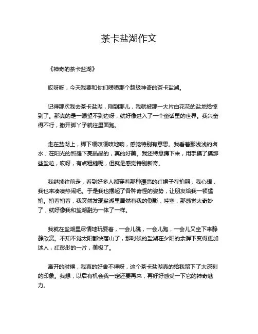 荼卡盐湖作文