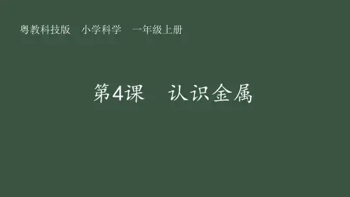 2024秋 粤教版科学一年级上册 第4课 认识金属  课件(共14张PPT)