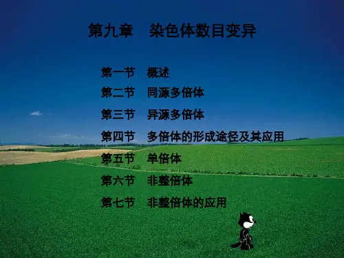 遗传学第九章染色体数目变异
