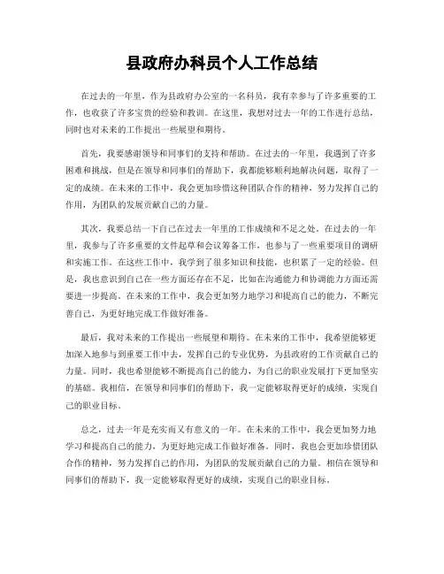 县政府办科员个人工作总结