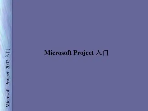 Project 入门