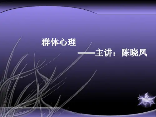 社会心理学12—群体心理