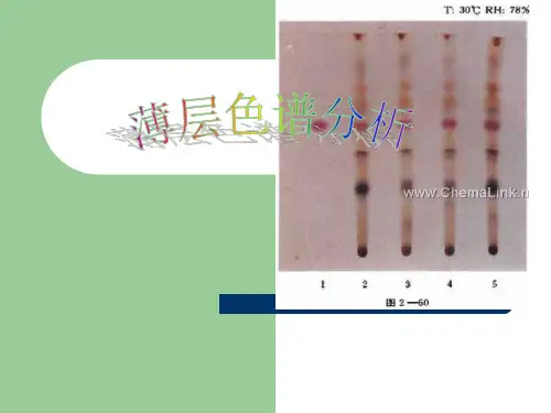 薄层色谱分析