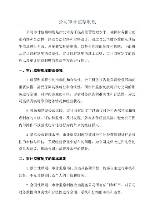 公司审计监察制度