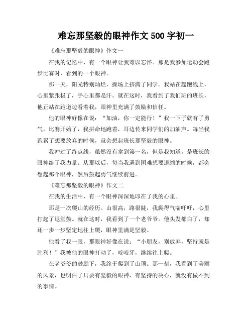 难忘那坚毅的眼神作文500字初一