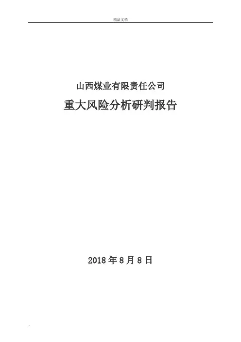 重大风险分析研判报告