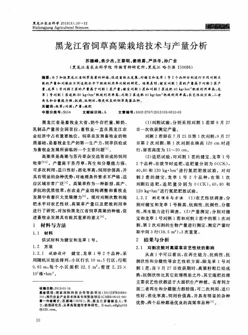 黑龙江省饲草高粱栽培技术与产量分析