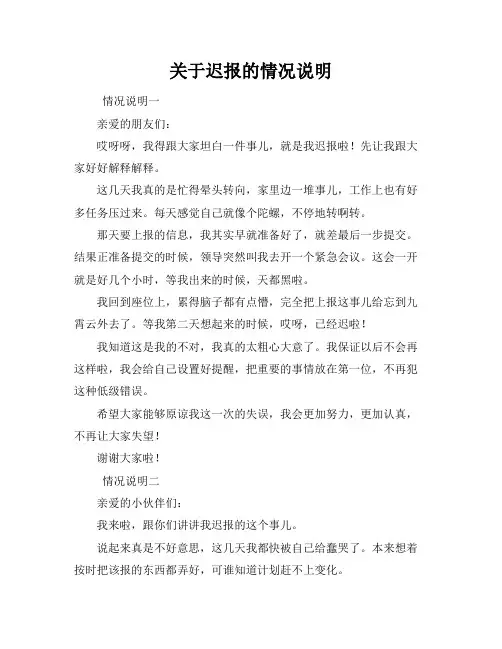 关于迟报的情况说明