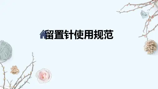 留置针使用规范 PPT