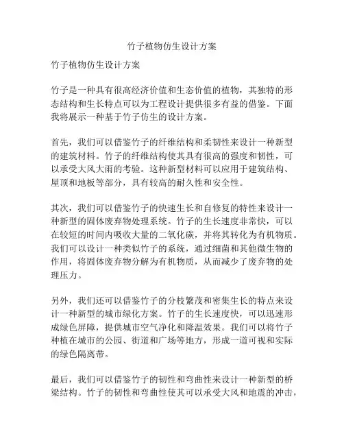 竹子植物仿生设计方案