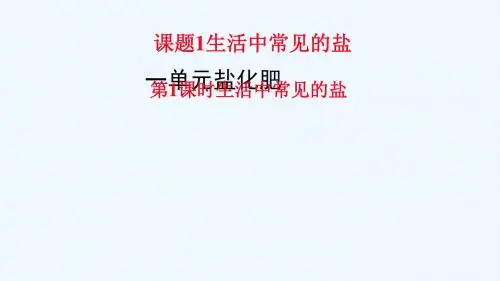 九年级化学下册 第11单元 盐 化肥 课题1 生活中常见的盐 第1课时 生活中常见的盐教学 (新版)新人教版