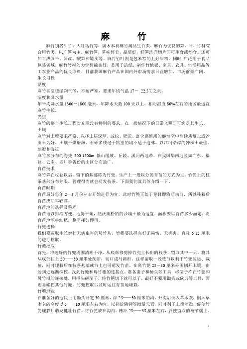 麻竹