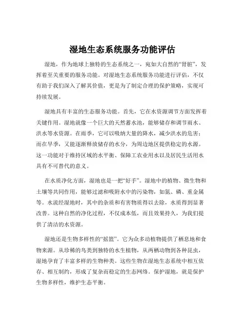 湿地生态系统服务功能评估