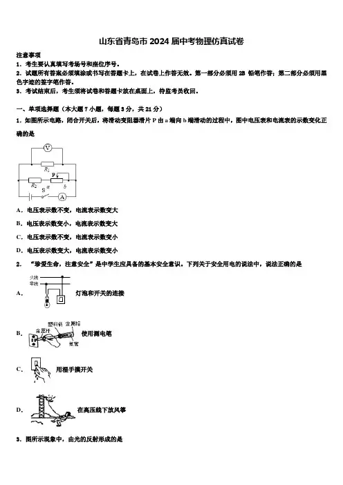 山东省青岛市2024届中考物理仿真试卷含解析