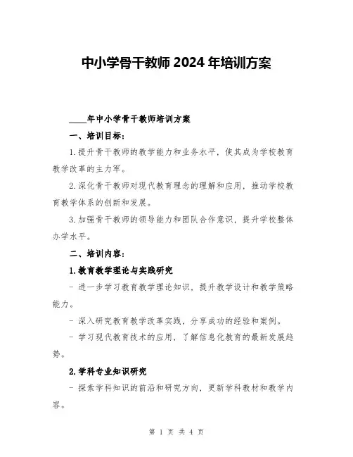 中小学骨干教师2024年培训方案