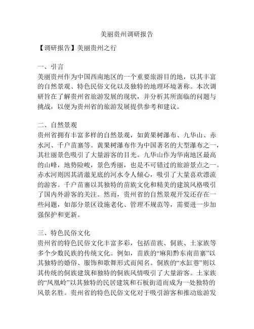 美丽贵州调研报告