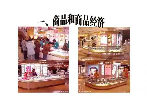 商品和商品经济