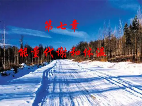 生理学第七章.ppt
