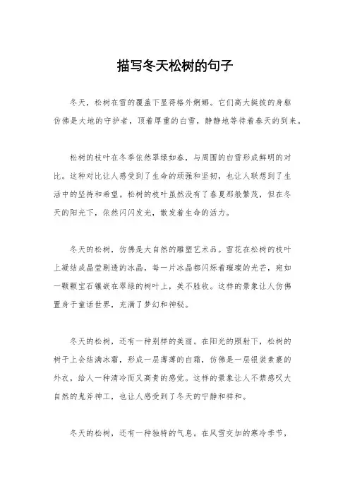 描写冬天松树的句子