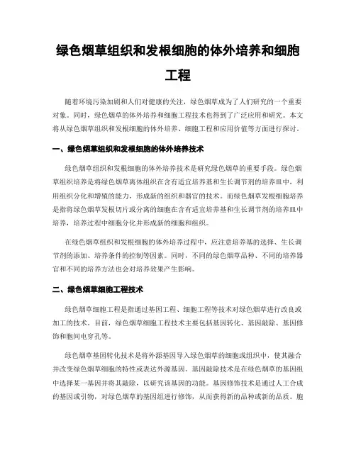 绿色烟草组织和发根细胞的体外培养和细胞工程