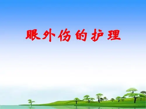 眼外伤病人的护理 PPT课件
