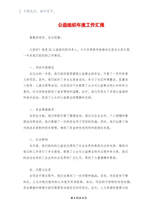 公益组织年度工作汇报