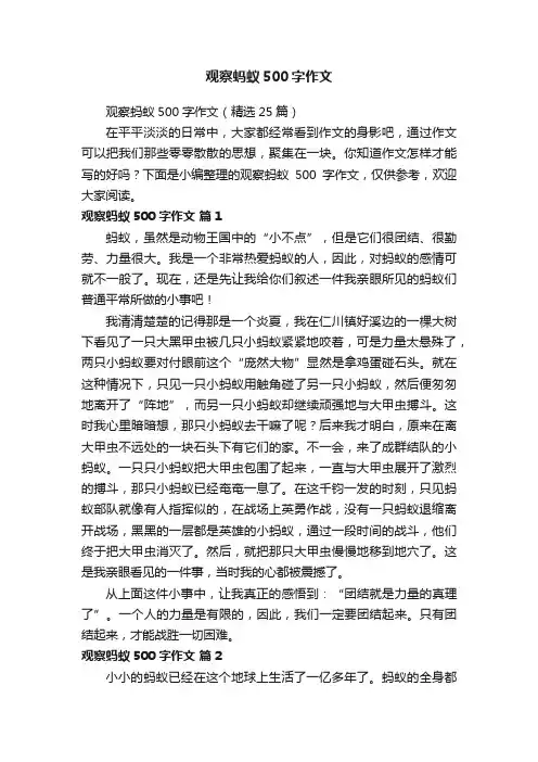 观察蚂蚁500字作文