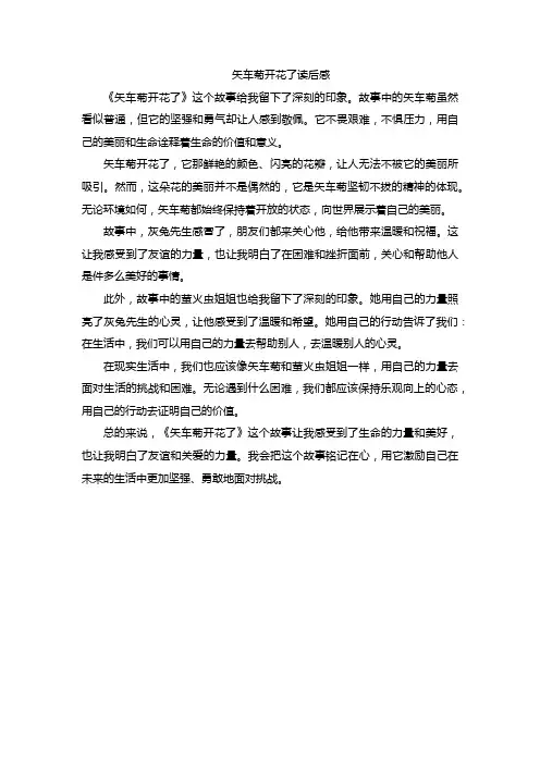 矢车菊开花了读后感