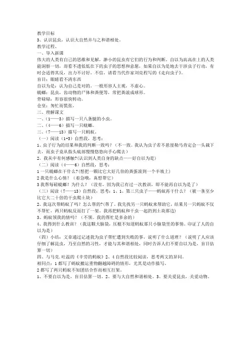 《走向虫子》